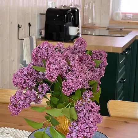 Halo Σπίτι διακοπών Dębki