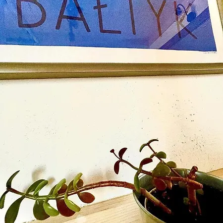 Halo Σπίτι διακοπών Dębki