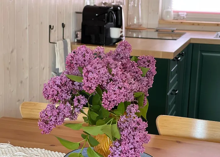 Halo Dom wakacyjny Dębki