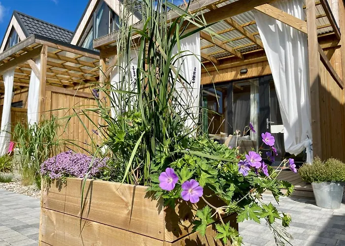 Halo Dom wakacyjny *