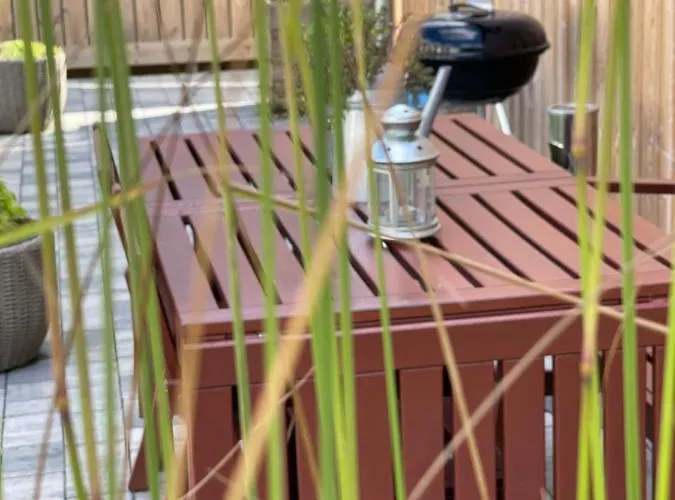 Halo Dom wakacyjny *