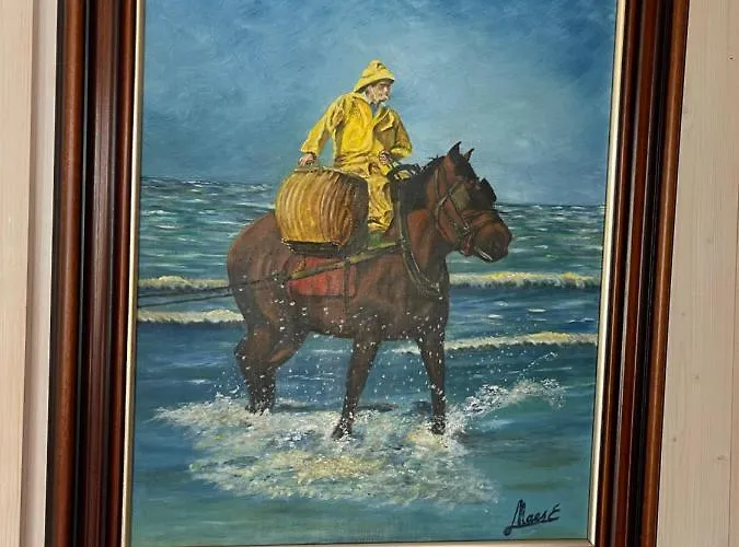 Halo Dom wakacyjny *