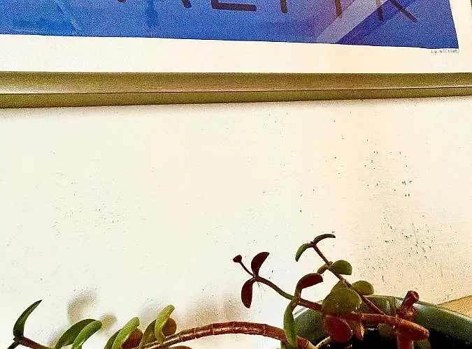 Halo Dom wakacyjny Dębki